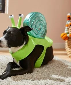 Frisco Snail Dog & Cat Costume -The Frisco Store 215562 PT8. SY630 V1599141059