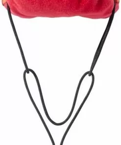 Frisco Zombie Dog & Cat Costume -The Frisco Store 215621 PT4. SY630 V1594656077