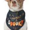Frisco Sweet & Spooky Dog & Cat Bandana -The Frisco Store 215671 MAIN. SY630 V1633728991