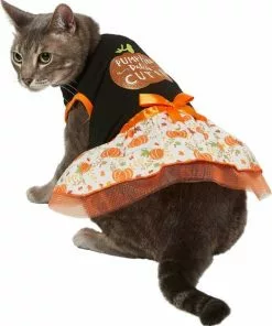 Frisco Pumpkin Patch Cutie Dog & Cat Dress -The Frisco Store 215783 PT2. SY630 V1632417114