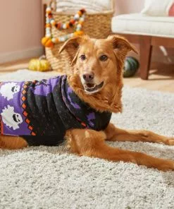 Frisco Spooky Ghost Dog & Cat Sweater -The Frisco Store 215797 PT8. SY630 V1599226290