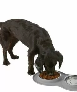 Frisco Double Stainless Steel Dog & Cat Bowl with Silicone Mat, Light Gray, 1.75 Cups -The Frisco Store 215986 PT5. SY630 V1605652436