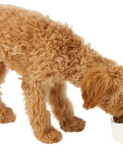 Frisco Slanted Stainless Steel Bowl -The Frisco Store 216028 PT6. SY630 V1605666119