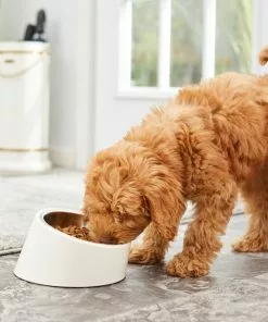 Frisco Slanted Stainless Steel Bowl -The Frisco Store 216028 PT7. SY630 V1605653233