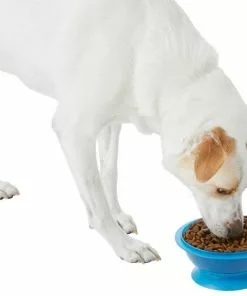 Frisco Plastic Suction Bowl, Blue, 3 Cups -The Frisco Store 216037 PT6. SY630 V1605662823