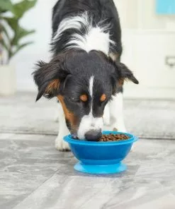 Frisco Plastic Suction Bowl, Blue, 3 Cups -The Frisco Store 216037 PT7. SY630 V1605666113