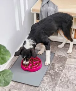 Frisco Bone Shaped Ridges Slow Feed Bowl, 3 Cups -The Frisco Store 216040 PT7. SY630 V1605655950