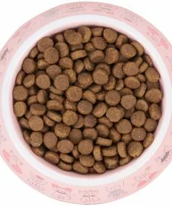 Frisco Pink Cute Cats Melamine Cat Bowl, 1.5 Cup -The Frisco Store 216043 PT4. SY630 V1591020694