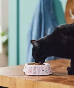 Frisco Pink Cute Cats Melamine Cat Bowl, 1.5 Cup -The Frisco Store 216043 PT7. SY630 V1633025211