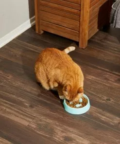 Frisco Fish Shaped Ridges Slow Feed Bowl, Light Blue, 1.25 cups -The Frisco Store 216046 PT7. SY630 V1605658037