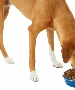 Frisco Chevron Design Glass Bowl with Silicone Sleeve, 4.25 Cups 15 Frisco Chevron Design Glass Bowl with Silicone Sleeve, 4.25 Cups -The Frisco Store 216049 PT6. SY630 V1605654757