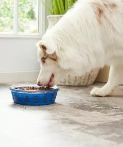 Frisco Chevron Design Glass Bowl with Silicone Sleeve, 4.25 Cups 16 Frisco Chevron Design Glass Bowl with Silicone Sleeve, 4.25 Cups -The Frisco Store 216049 PT7. SY630 V1605664319