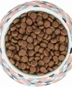 Frisco Colorful Geometric Melamine Bowl -The Frisco Store 216052 PT4. SY630 V1591020745