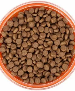 Frisco Paw Design Glass Bowl with Silicone Sleeve, 3 Cups -The Frisco Store 216055 PT4. SY630 V1591020767