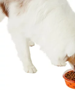 Frisco Paw Design Glass Bowl with Silicone Sleeve, 3 Cups -The Frisco Store 216055 PT6. SY630 V1605655922