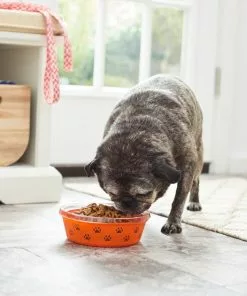 Frisco Paw Design Glass Bowl with Silicone Sleeve, 3 Cups -The Frisco Store 216055 PT7. SY630 V1605660423