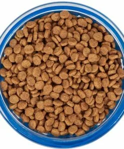 Frisco Cat Design Glass Bowl with Silicone Sleeve, 1.5 Cups -The Frisco Store 216057 PT4. SY630 V1591020958