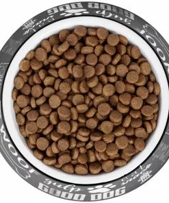 Frisco Doggie Melamine Bowl, 3 Cup 13 Frisco Doggie Melamine Bowl, 3 Cup -The Frisco Store 216062 PT4. SY630 V1591020983