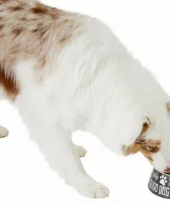 Frisco Doggie Melamine Bowl, 3 Cup 14 Frisco Doggie Melamine Bowl, 3 Cup -The Frisco Store 216062 PT6. SY630 V1605663429