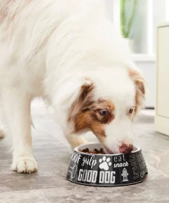 Frisco Doggie Melamine Bowl, 3 Cup 15 Frisco Doggie Melamine Bowl, 3 Cup -The Frisco Store 216062 PT7. SY630 V1605658314