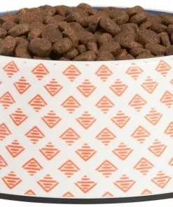 Frisco Southwest Melamine Bowl, 3 Cup -The Frisco Store 216064 PT2. SY630 V1591020999