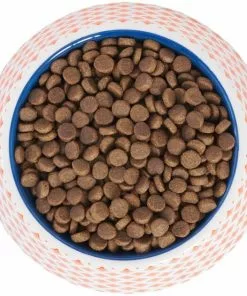 Frisco Southwest Melamine Bowl, 3 Cup -The Frisco Store 216064 PT4. SY630 V1591021009