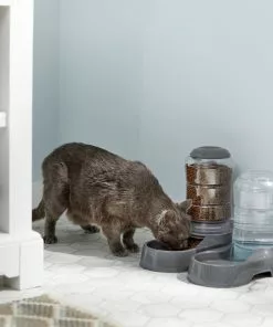 Frisco Circular Gravity Refill Dog & Cat Feeder -The Frisco Store 216701 PT6. SY630 V1605739939