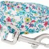 Frisco Spring Floral Polyester Dog Leash -The Frisco Store 218219 MAIN. SY630 V1590604346