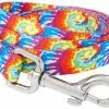 Frisco Tie Dye Swirl Polyester Dog Leash -The Frisco Store 218246 MAIN. SY630 V1590604895