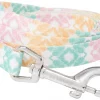 Frisco Pastel Tie Dye Polyester Dog Leash -The Frisco Store 218254 MAIN. SY630 V1590604933