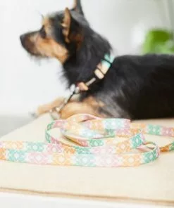 Frisco Pastel Tie Dye Polyester Dog Leash 10 Frisco Pastel Tie Dye Polyester Dog Leash -The Frisco Store 218254 PT4. SY630 V1597599974
