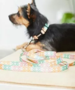 Frisco Pastel Tie Dye Polyester Dog Leash 11 Frisco Pastel Tie Dye Polyester Dog Leash -The Frisco Store 218254 PT5. SY630 V1628030010