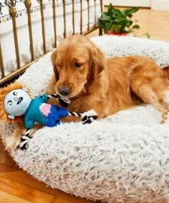 Frisco Zombie Boy Plush with Rope Squeaky Dog Toy -The Frisco Store 218569 PT6. SY630 V1597599376