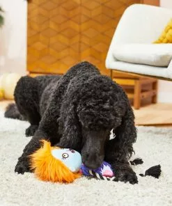 Frisco Zombie Girl Plush with Rope Squeaky Dog Toy -The Frisco Store 218571 PT6. SY630 V1597599373