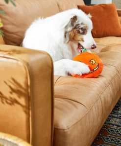 Frisco Halloween Pumpkin Round Plush Squeaky Dog Toy -The Frisco Store 218583 PT6. SY630 V1597599386