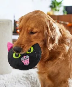 Frisco Black Cat Round Plush Squeaky Dog Toy -The Frisco Store 218587 PT6. SY630 V1597599384