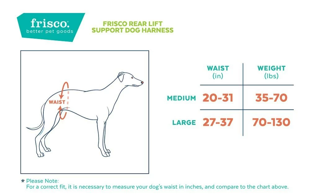 Frisco Rear Lift Handicapped Support Dog Harness 4 Frisco Rear Lift Handicapped Support Dog Harness - Image 2
