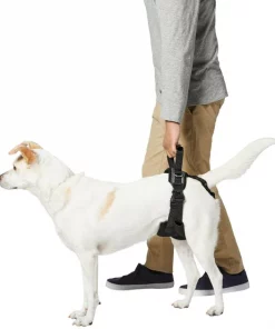 Frisco Rear Lift Handicapped Support Dog Harness 11 Frisco Rear Lift Handicapped Support Dog Harness -The Frisco Store 220374 PT5. SY630 V1605743213