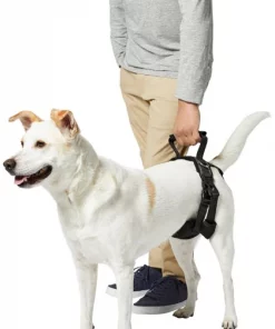 Frisco Rear Lift Handicapped Support Dog Harness 12 Frisco Rear Lift Handicapped Support Dog Harness -The Frisco Store 220374 PT6. SY630 V1605755228