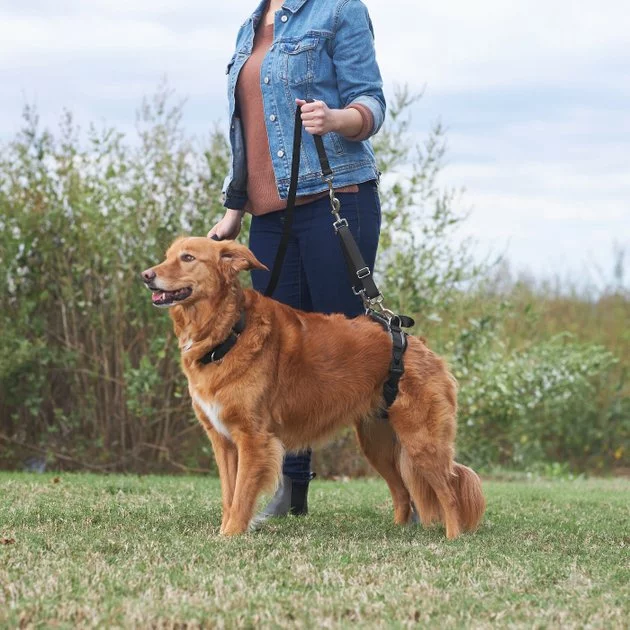 Frisco Rear Lift Handicapped Support Dog Harness 8 Frisco Rear Lift Handicapped Support Dog Harness - Image 6