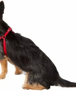 Frisco Nylon Step In Back Clip Dog Harness -The Frisco Store 220505 PT3. SY630 V1605579490