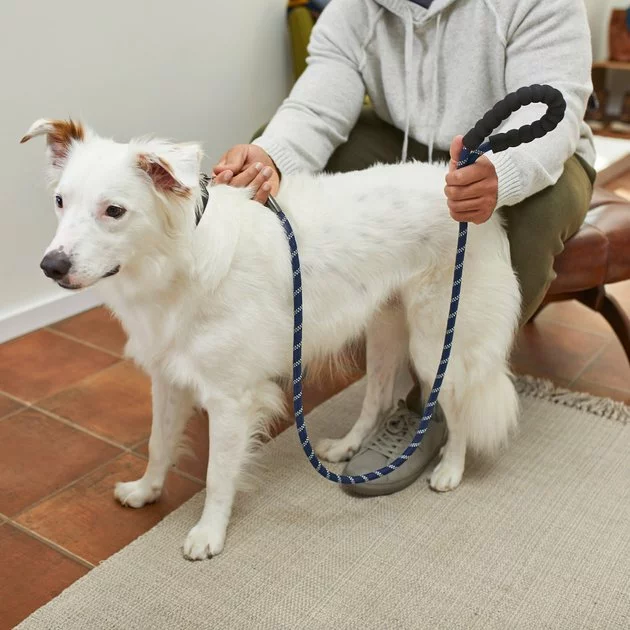 Frisco Rope Dog Leash with Padded Handle 6 Frisco Rope Dog Leash with Padded Handle - Image 4