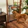 Frisco Wood Accents Extra Tall Auto-close Dog Gate, 41-in