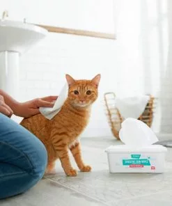 Frisco Sensitive Skin Waterless Grooming Wipes with Aloe and Honeysuckle for Dogs & Cats, 100 count -The Frisco Store 222143 PT2. SY630 V1602825989