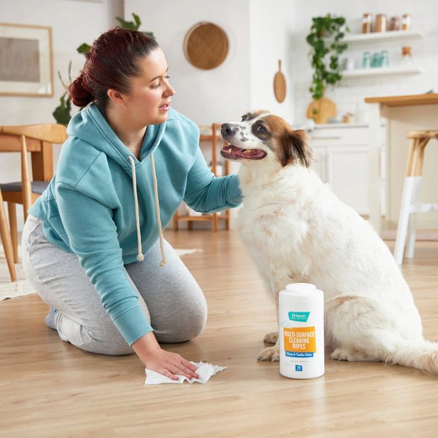 Frisco Multi-Surface Cleaning Citrus Scented Wipes, 70 count 4 Frisco Multi-Surface Cleaning Citrus Scented Wipes, 70 count - Image 2