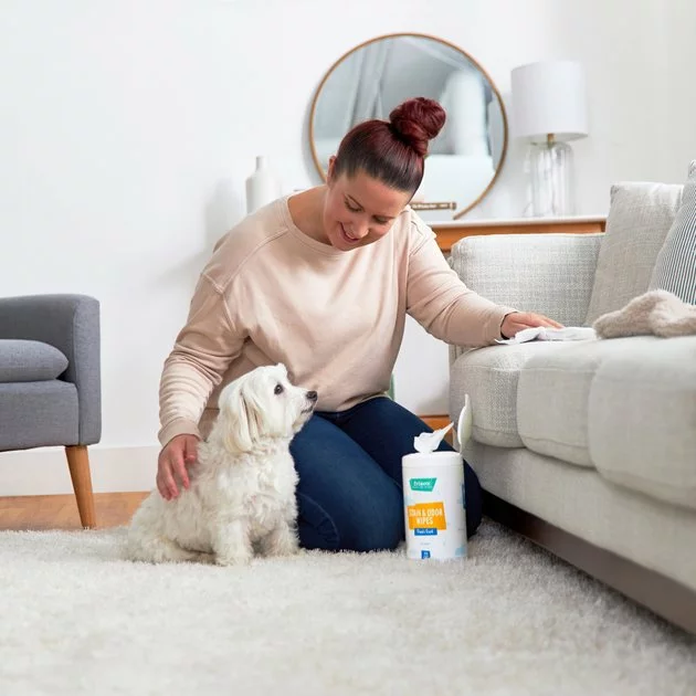 Frisco Stain & Odor Remover Wipes, 70 count 4 Frisco Stain & Odor Remover Wipes, 70 count - Image 2