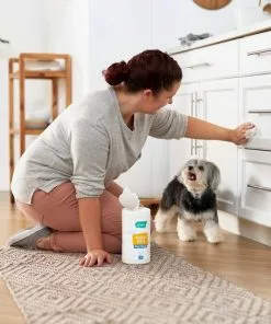 Frisco Vinegar Cleaning Wipes, 70 count -The Frisco Store 222151 PT4. SY630 V1602847932