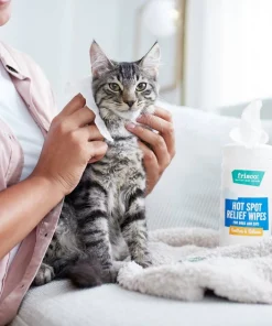Frisco Hot Spot Relief Waterless Grooming Wipes with Colloidal Oatmeal for Dogs & Cats, 100 count -The Frisco Store 222163 PT2. SY630 V1602831392