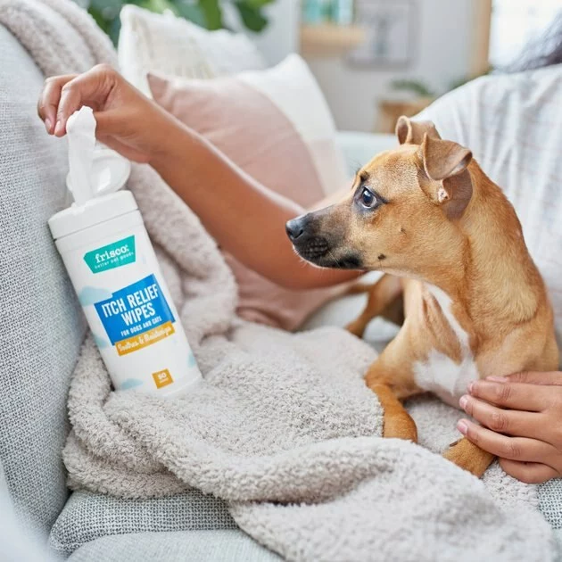 Frisco Itch Relief Waterless Grooming Wipes for Dogs & Cats, 50 count 4 Frisco Itch Relief Waterless Grooming Wipes for Dogs & Cats, 50 count - Image 2