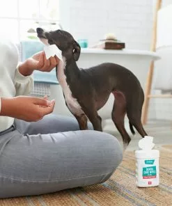 Frisco Dog Dental Care Wipes, 30 count -The Frisco Store 222169 PT1. SY630 V1620938952